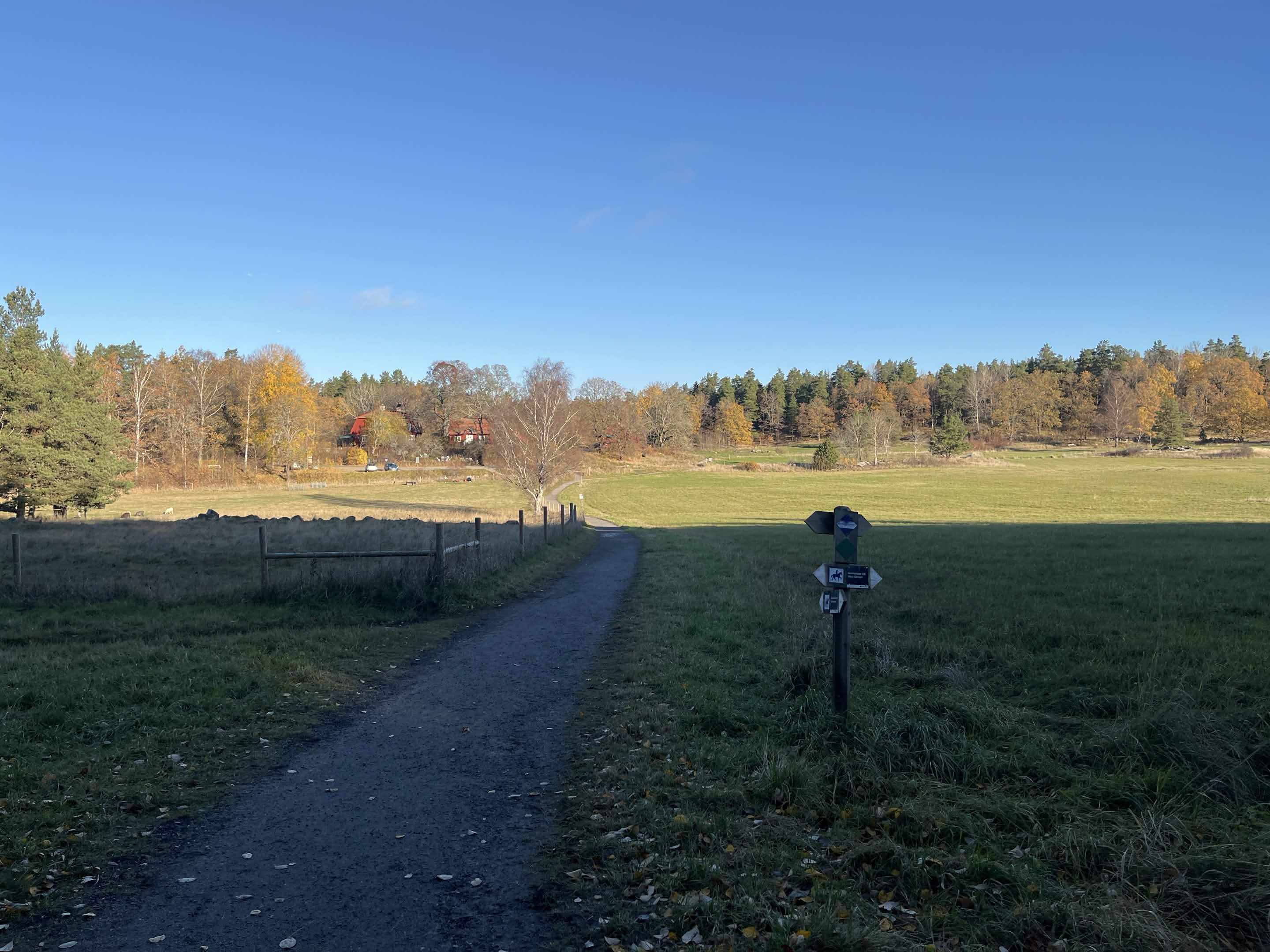 Nature walk photo